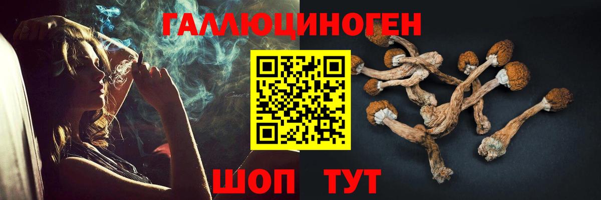 Кохма  Псилоцибиновые грибы Cubensis  Псилоцибиновые грибы мухоморы  Вход с VPN 
